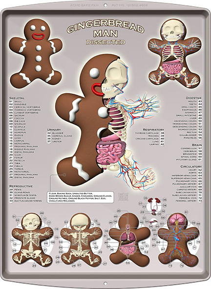 gingerbread-man-dissected