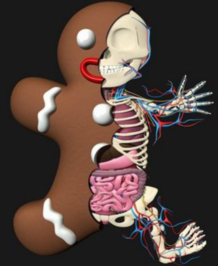 480x400_dissected-gingerbread-man-by-jason-freeny
